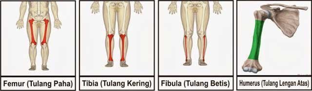 Peralatan Radiologi Modern
